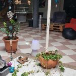 cannabis club premia de mar barcelona - lotus verd